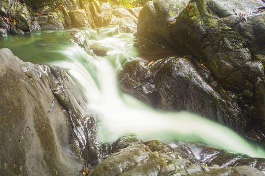 small waterfall in rain forest