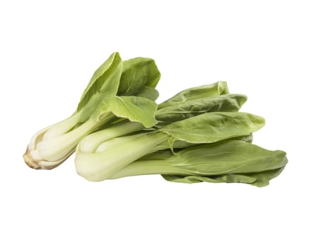 Organic Bok Choy on white background
