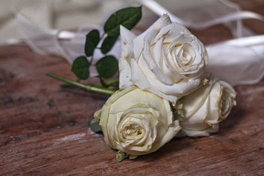 three white roses on a old wooden base