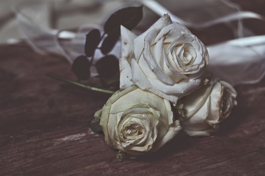 three white roses on a old wooden base