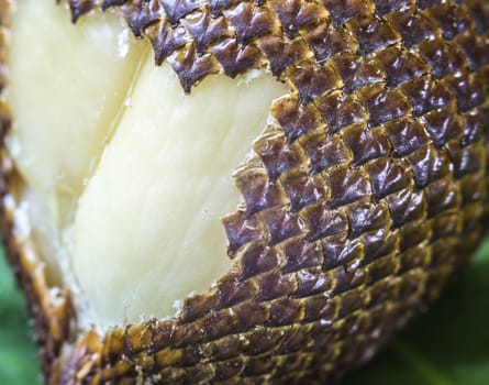 Snake Fruit and Green Leaf on the Wood Table.