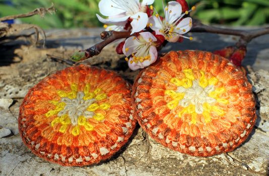 Handmade knitted round earrings with apricot blossom in spring on the nature background