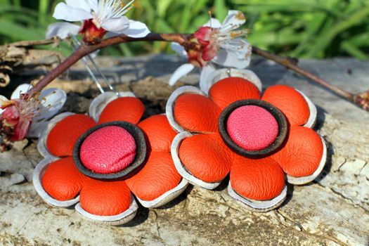 Handmade leather flower earrings with apricot blossom in spring on the nature background