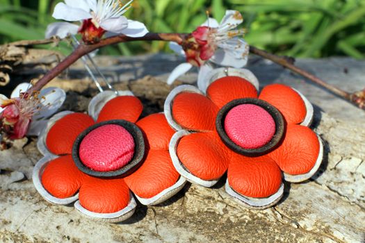 Handmade leather flower earrings with apricot blossom in spring on the nature background