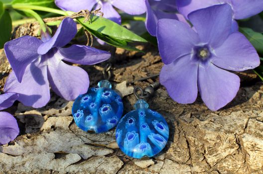 Handmade blue glass earrings with wood violet in spring on the nature background