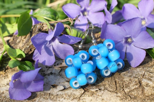 Handmade blue bead earrings with wood violet in spring on the nature background