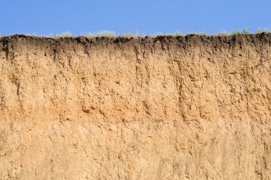 A cut of soil with several layers visible and dried grass on top