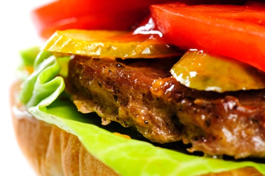 single fresh realistic looking pork hamburger closeup
