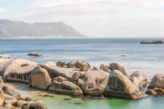 The Boulders section of the Table Mountain National Park is in Simons Town. It is home to a land-based colony of endangered African Penguins.