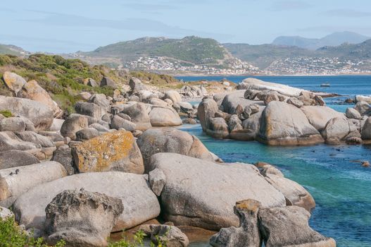The Boulders section of the Table Mountain National Park is in Simons Town. It is home to a land-based colony of endangered African Penguins.
