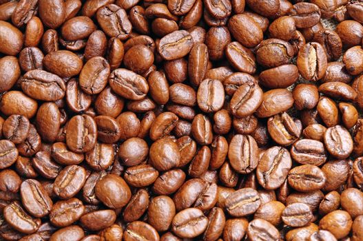 Background of coffee beans close-up                               