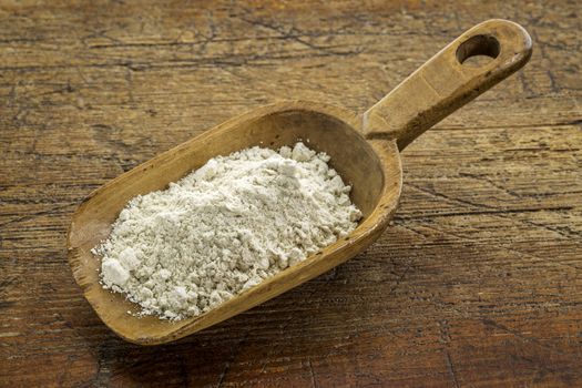 gluten free quinoa flour on a wooden scoop against weathered wood