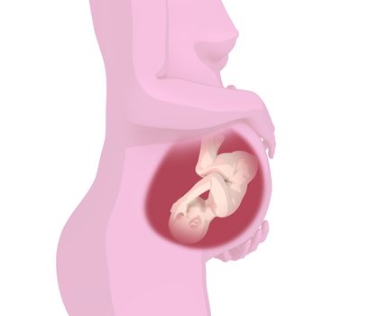 Illustration of a child inside the womb of the mother