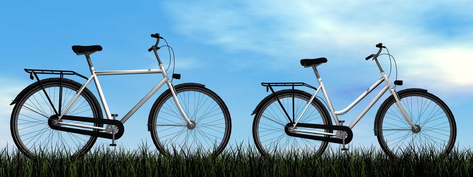 Male and female bicycles on the grass in nature by day - 3D render