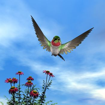 Ruby-throated hummingbird flying upon red daisies by cloudy day - 3D render
