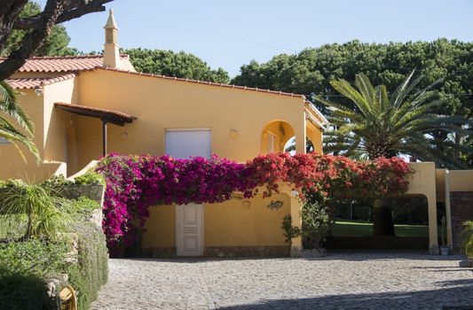 big villa in portugal with bougainville flowers and palmtree next to the house