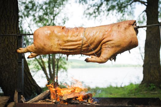 Roasting pig