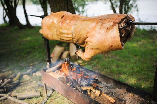 Roasting pig