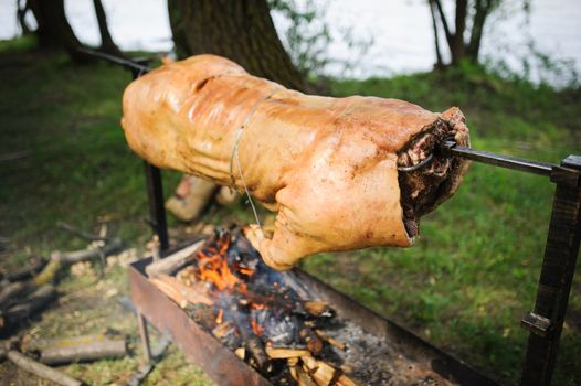 Roasting pig