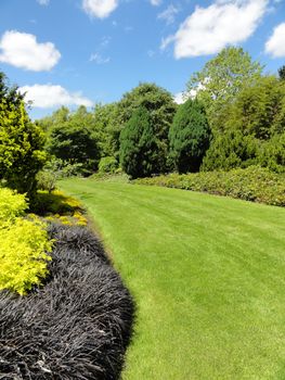 Photo of a garden with grass, plants and trees