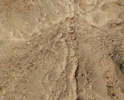 Small gravel stones texture background,sand and shells