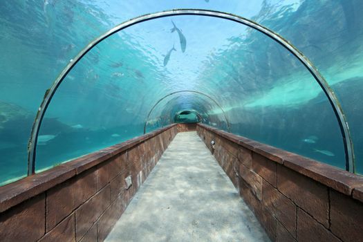 Looking through an aquarium tunnel with fish