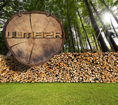 Dry chopped firewood logs in a pile in a green forest and wooden sign, section of tree trunk with text lumber, hanging with metal chain.