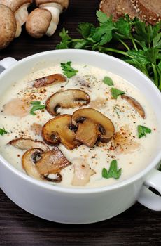 creamy soup pureed mushrooms and slices of chicken