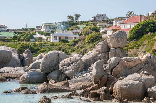 CAPE TOWN, SOUTH AFRICA - DECEMBER 12, 2014:  The Boulders section of the Table Mountain National Park in Simons Town is home to a land-based colony of endangered African Penguins.