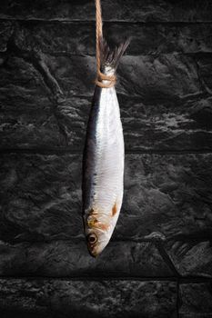 Fresh anchovy fish hanging on string against black background. Culinary seafood eating. Drying fish.