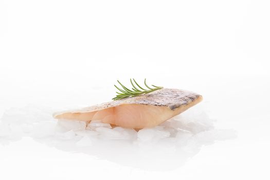 Fresh perch fish fillet on crushed ice isolated on white background with fresh green rosemary herbs. Culinary seafood eating.