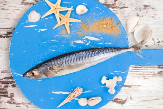 Delicious fresh mackerel fish on wooden kitchen board with sea shells on white textured wooden background. Culinary healthy cooking.