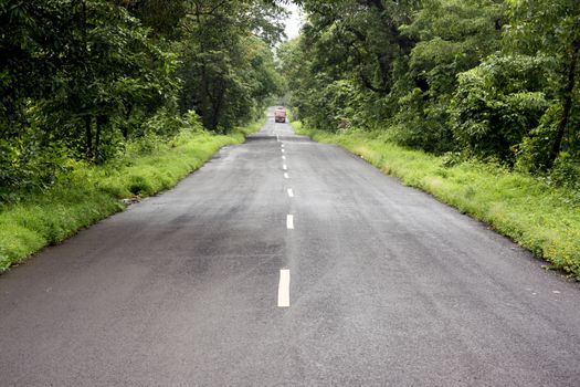 A lone state transport bus traveling through a road in the beautiful jungles of Indi