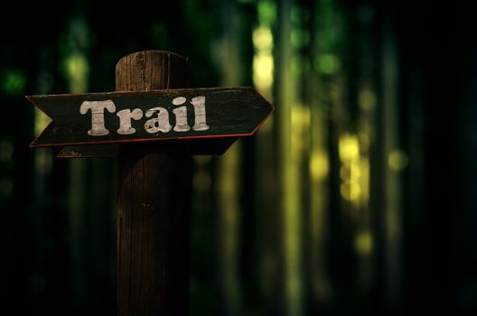Wooden Trail Sign In A Forest For Hikers