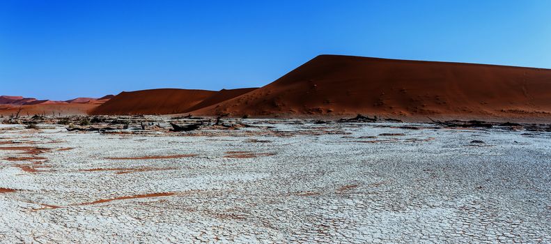 wide panorama of beautiful sunrise landscape of hidden Dead Vlei in Namib, blue sky, best place of Namibia