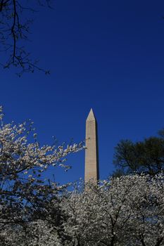 The Washington Memorial was built to commemorate George Washington (The first USA president) and it is the biggest obelisk and the world largest stone structure.