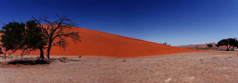 wide panorama of Dune 45 in sossusvlei Namibia, view from the top of a dune, best place in namibia