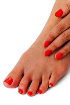 Woman with beautiful neatly manicured red finger and toenails sitting with bare feet clasping her ankles to display her nails, closeup on white in a fashion and beauty concept