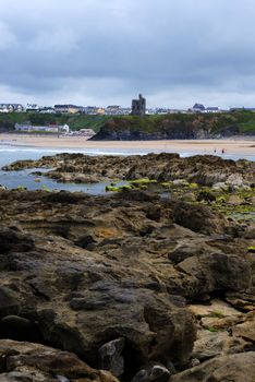 seaweed covered rocks with castle and cliffs on ballybunion beach in county kerry ireland