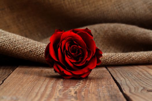 red rose on wooden background