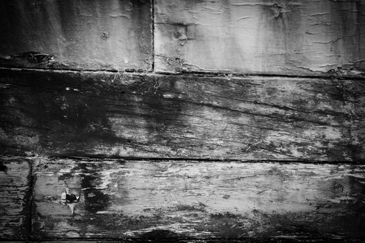 Planking remains of veteran flat-bottomed scow “Portland”moored in the Owaka River, New Zealand.