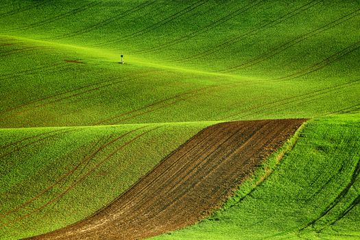 Lines and waves fields, South Moravia, Czech Republic