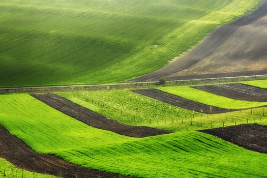 Lines and waves fields, South Moravia, Czech Republic