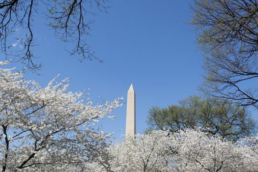 The Washington Memorial was built to commemorate George Washington (The first USA president) and it is the biggest obelisk and the world largest stone structure.