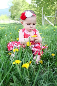 Brunette baby girl sitting outside in the field