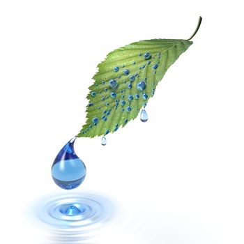 3d water drop from green leaf