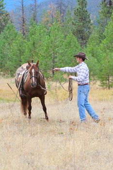 Young cowboy working with his horse in the field