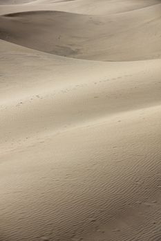 Spain. Canary Islands. Gran Canaria island. Dunes of Maspalomas