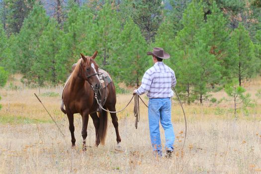 Young cowboy working with his horse in the field