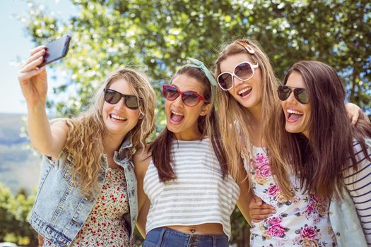 Happy friends taking a selfie on a summers day